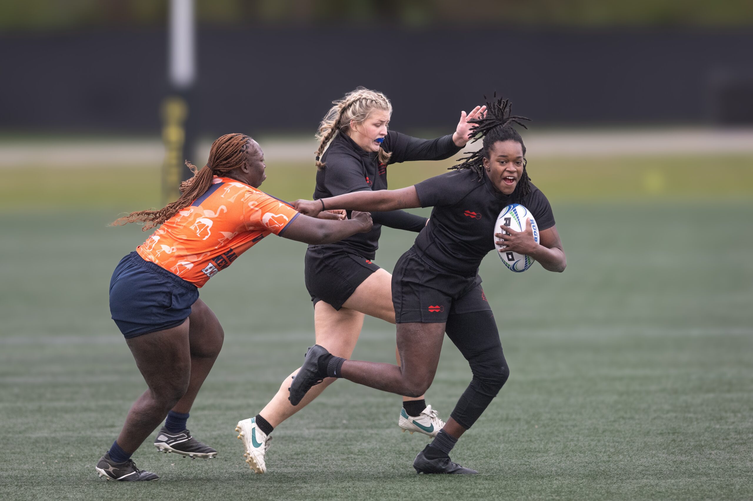 Cardinals, Crimson Storm Collide in DI Final