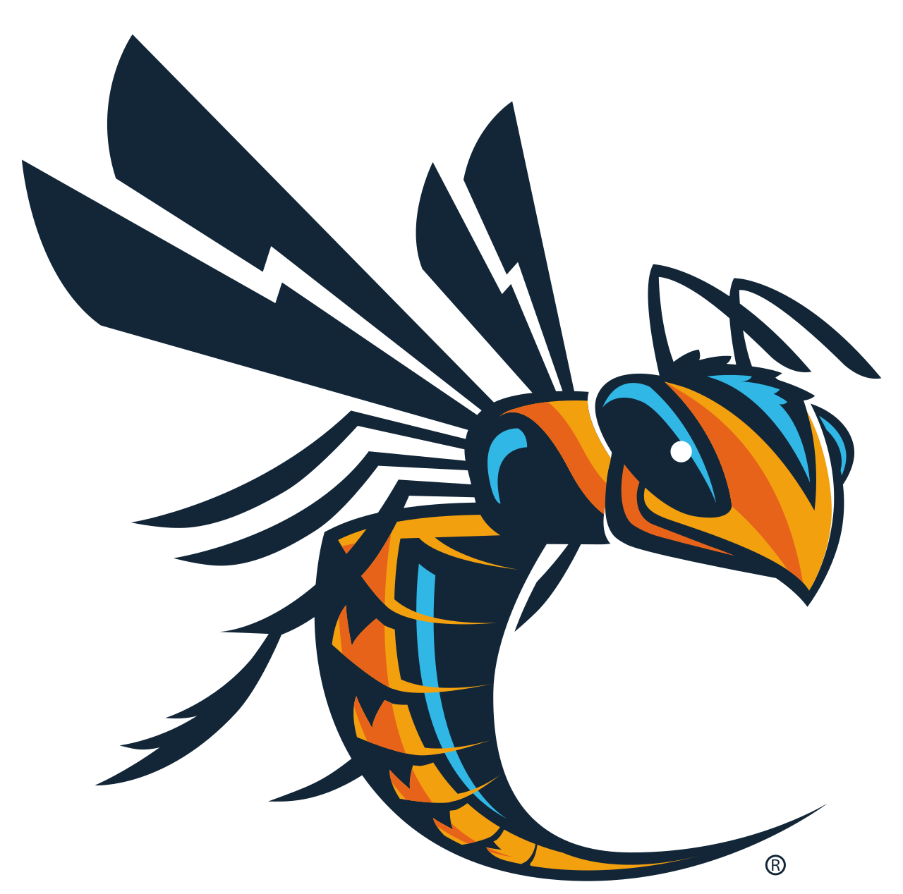 Cedarville University Men