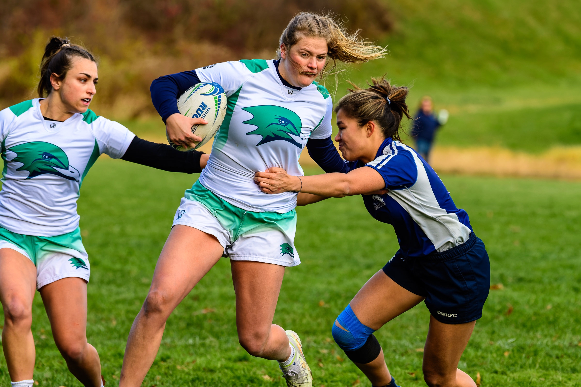 Endicott, Platteville, Wayne State top seeds in Women’s DIII