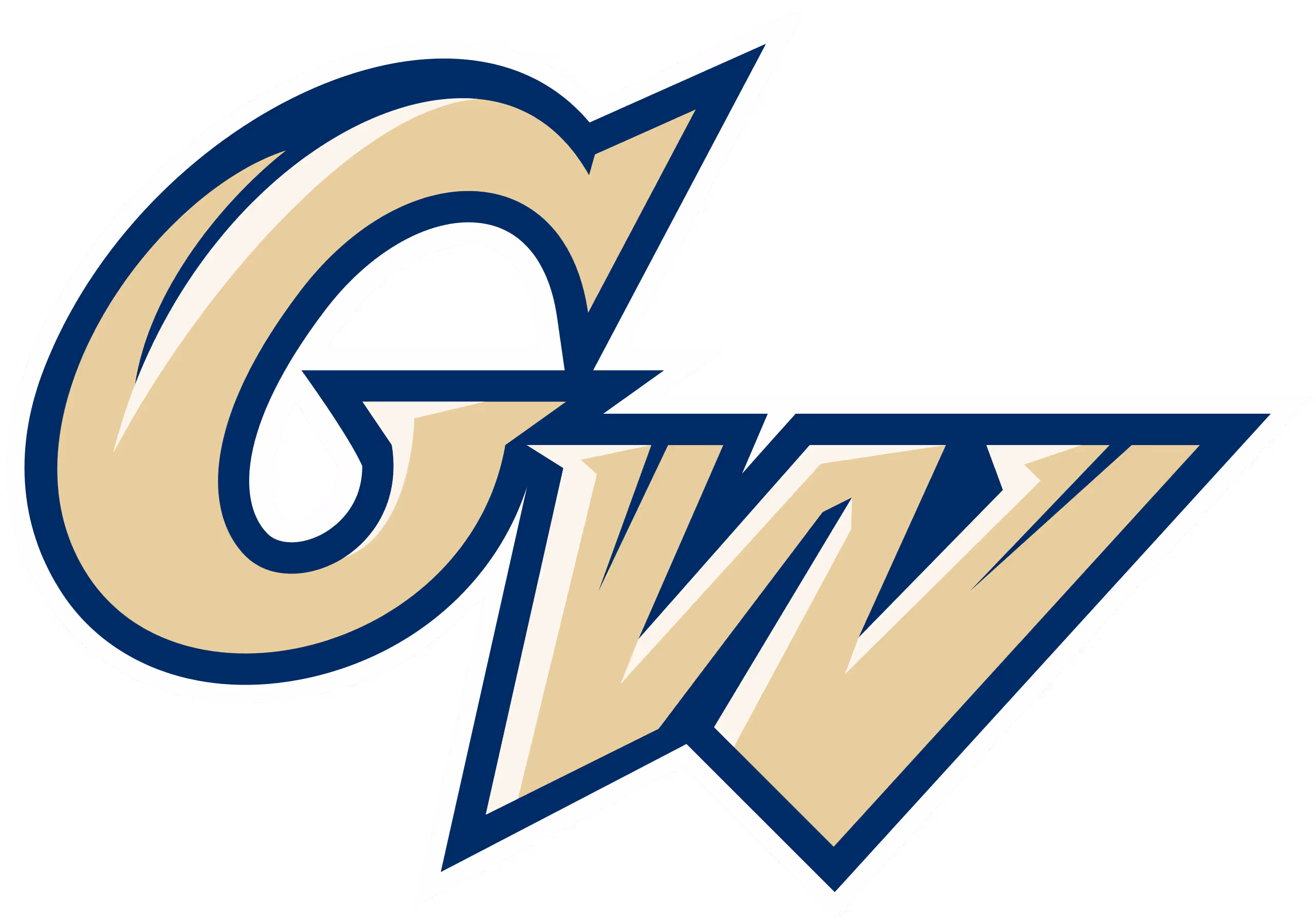 George Washington University Men