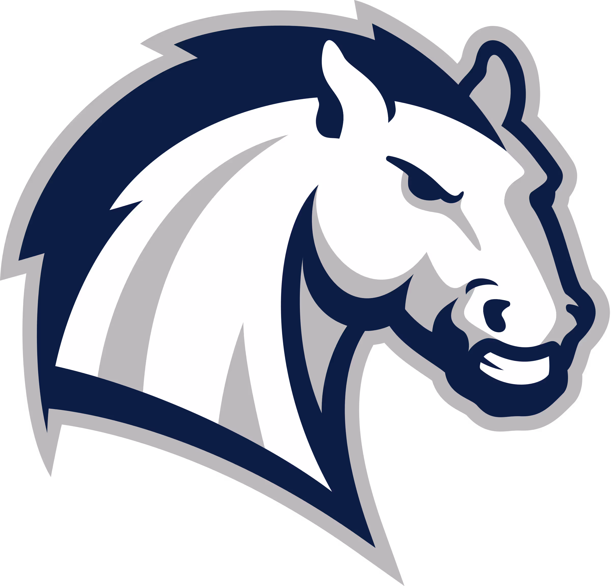 Hillsdale College Men