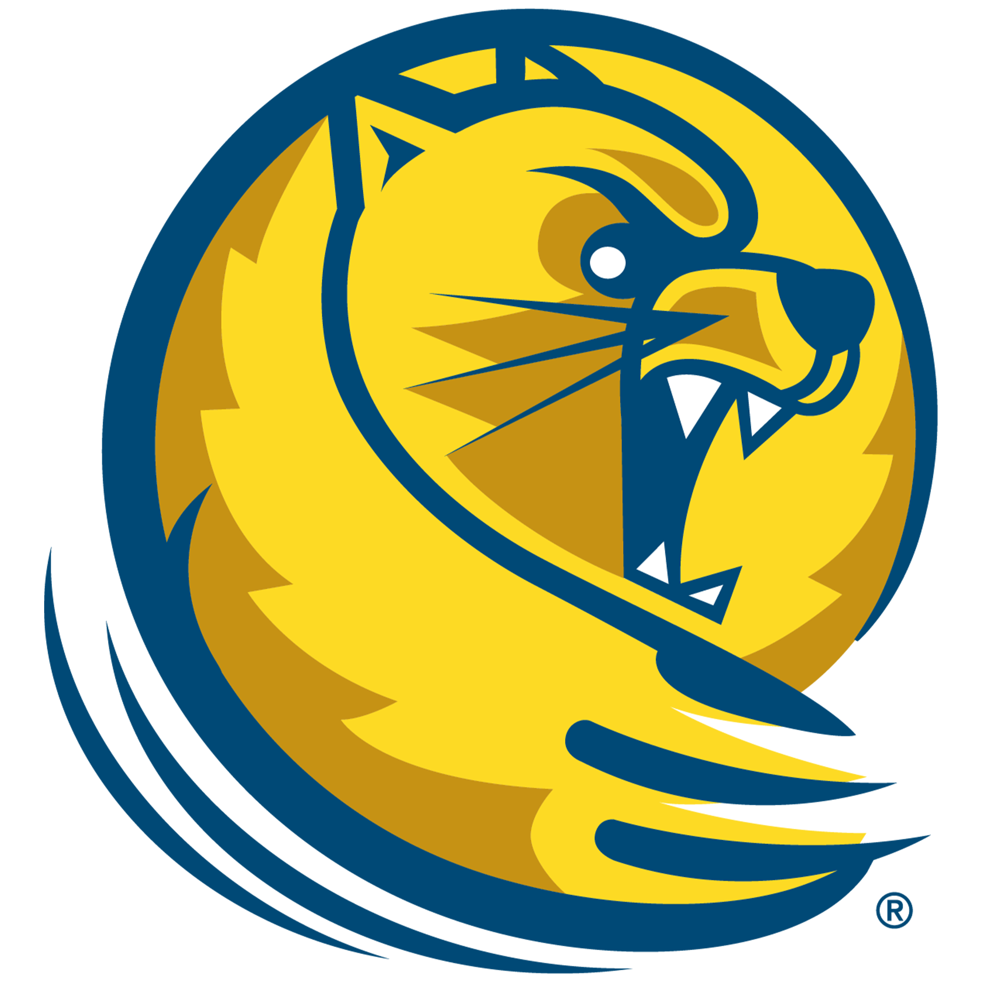 Lander University Men