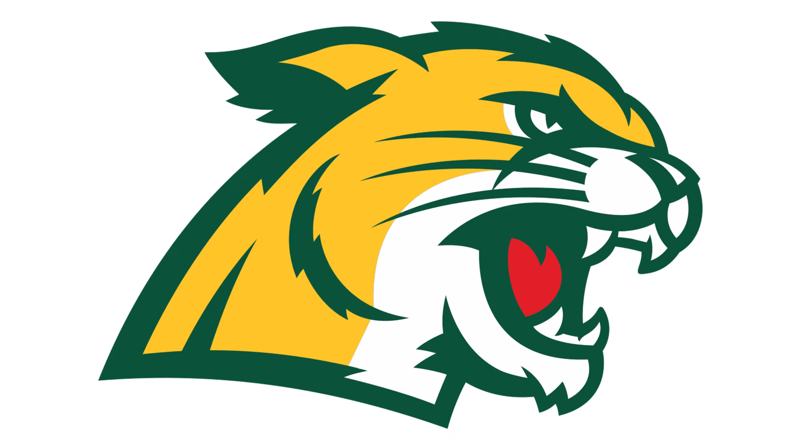 Northern Michigan University Men