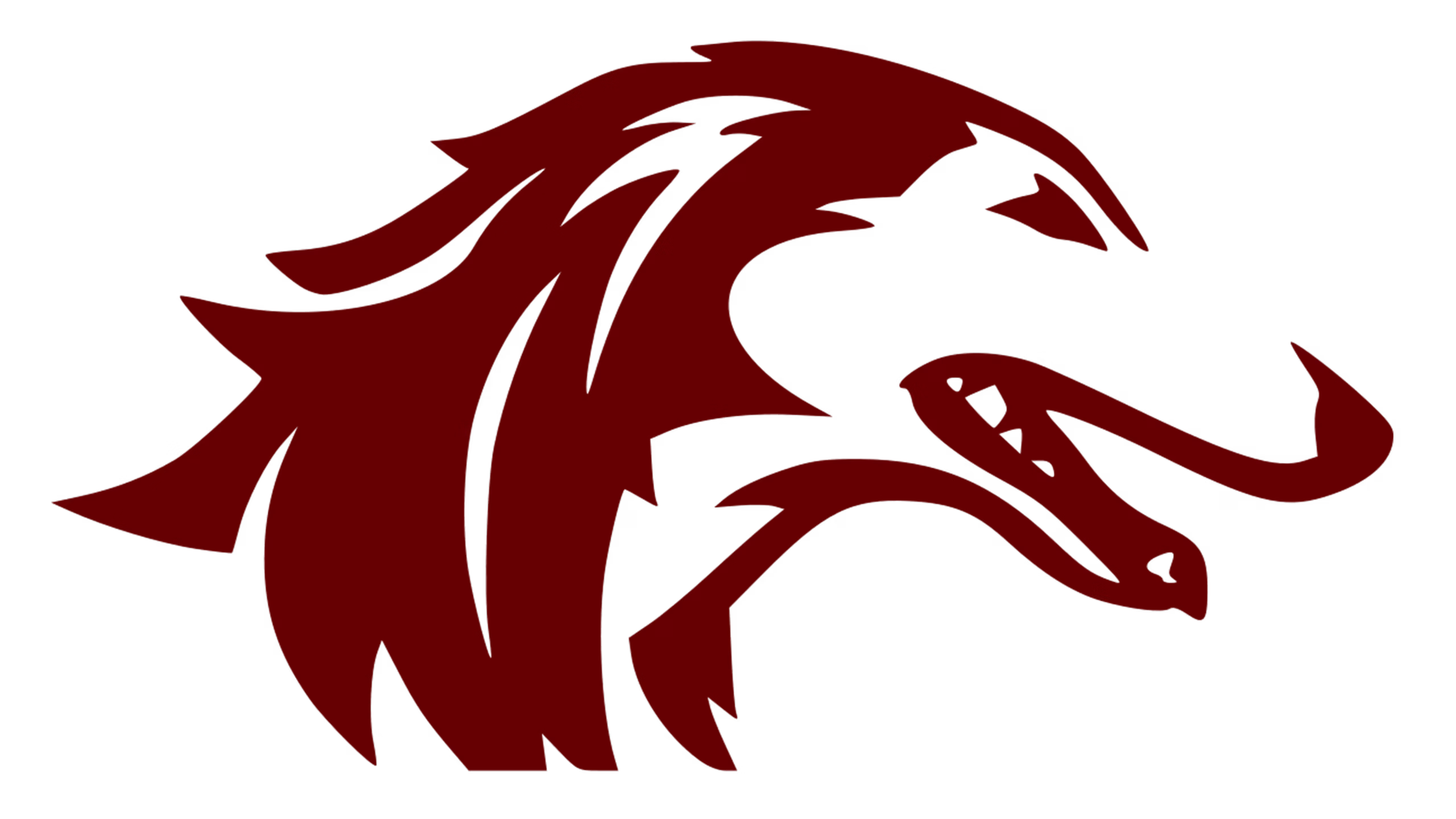 Southern Illinois University Women