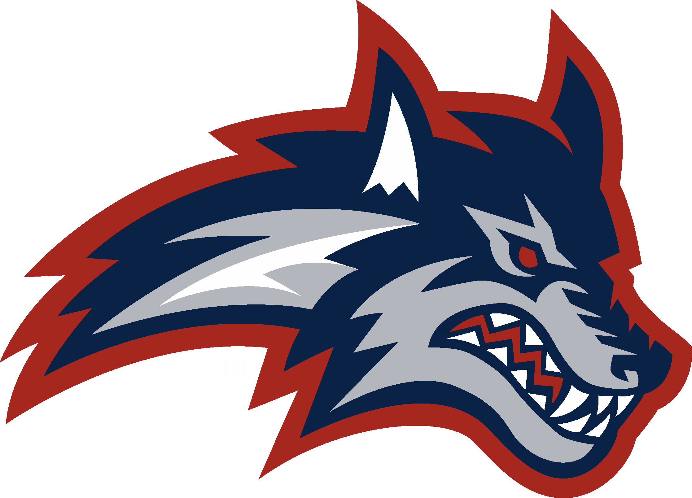 Stony Brook University Men