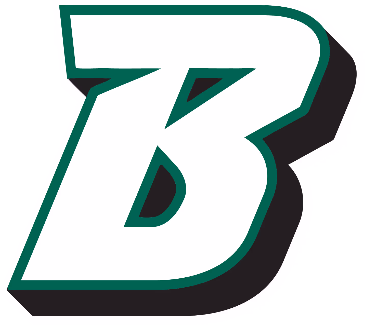 SUNY - Binghamton Men