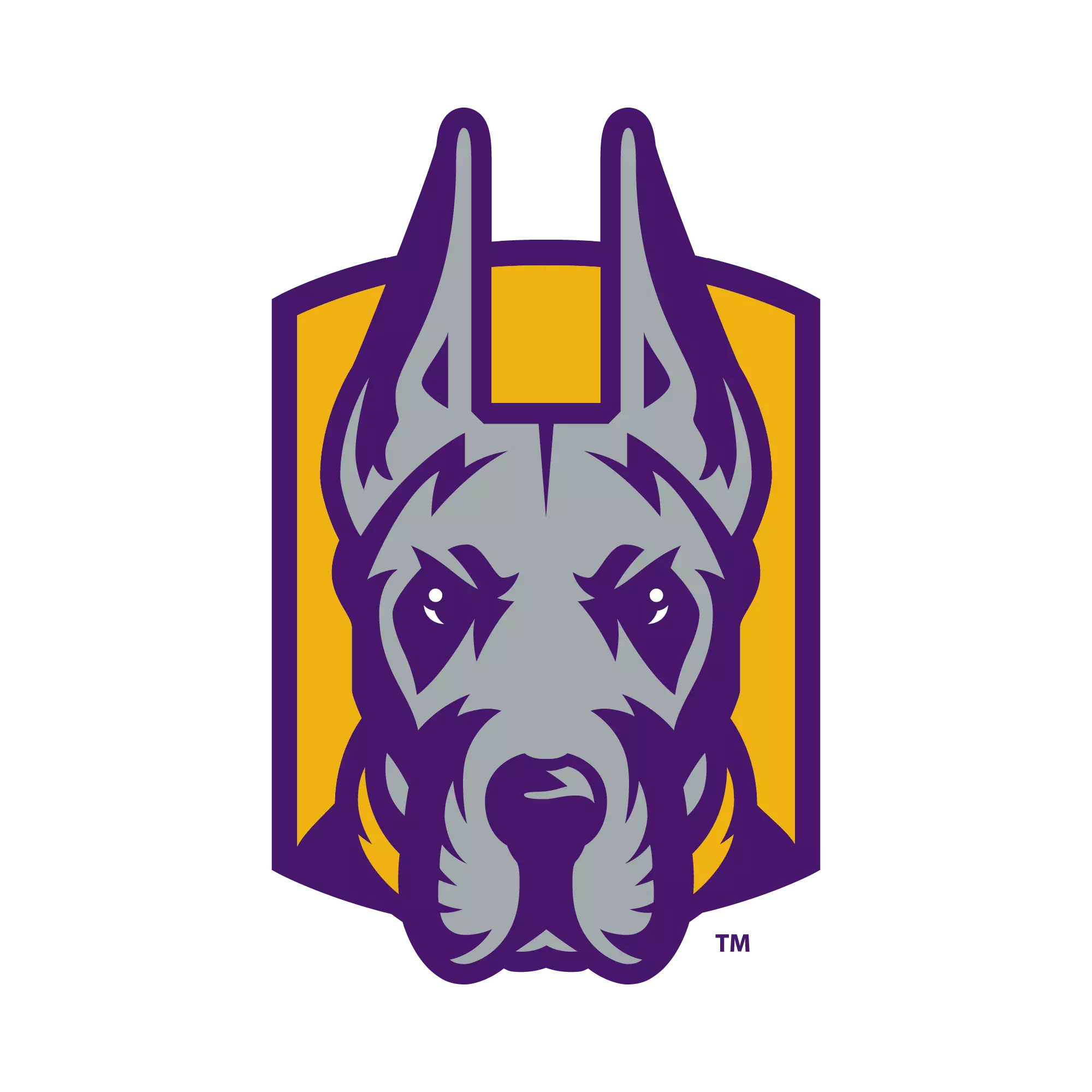 University at Albany Men