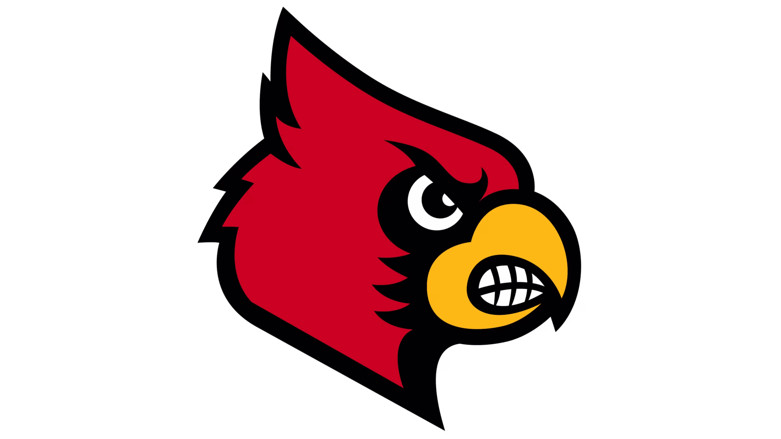 University of Louisville Men