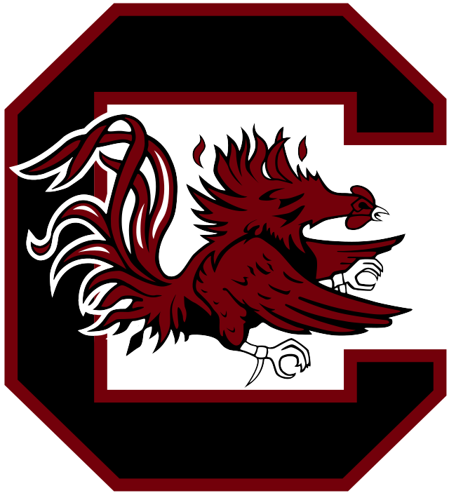 University of South Carolina Men
