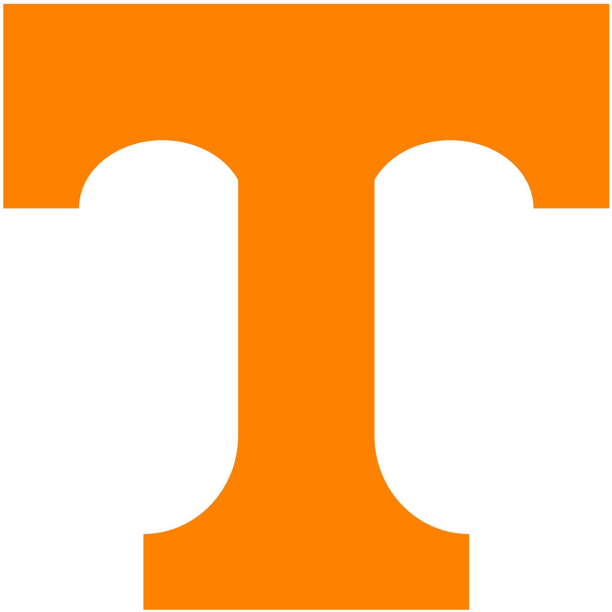University of Tennessee Men