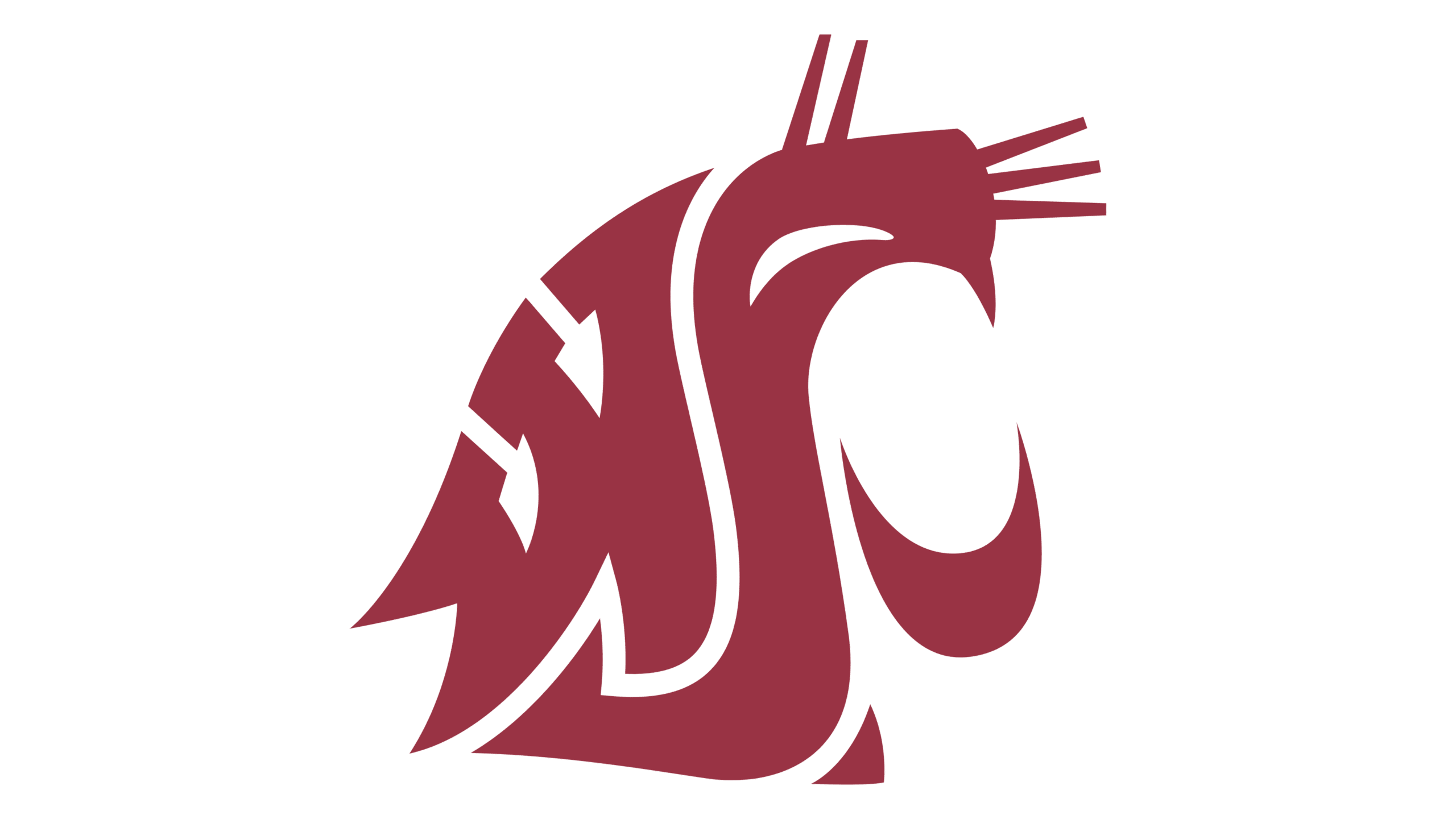 Washington State University Men